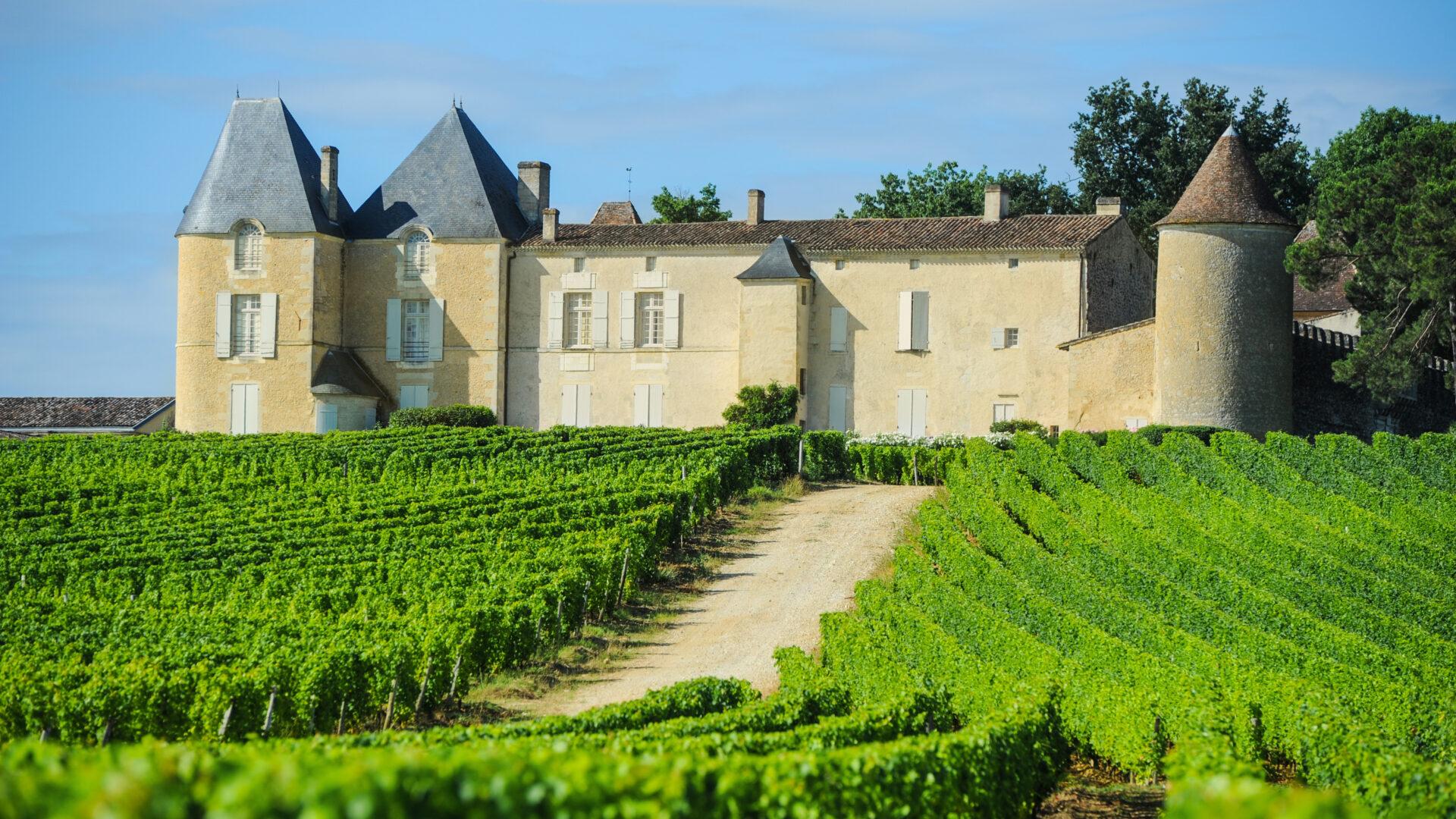 Vinařská usedlost na Route des Vins d’Alsace — vinice Rieslingu